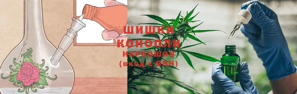 PSILOCYBIN Балахна