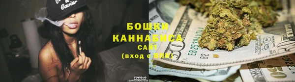 PSILOCYBIN Балахна