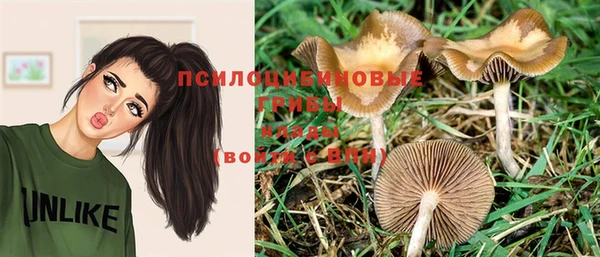 амф Балабаново